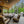 The Cypress Point Plan  | 2154 SF  | 2 Beds  | 2.5 Baths