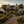 The Maple Glen Plan  | 2706 SF  | 5 Beds  | 3 Baths
