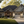 The Redwood Hollow Plan  | 2781 SF  | 5 Beds  | 3 Baths