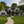 The Maple Glen Plan  | 2706 SF  | 5 Beds  | 3 Baths